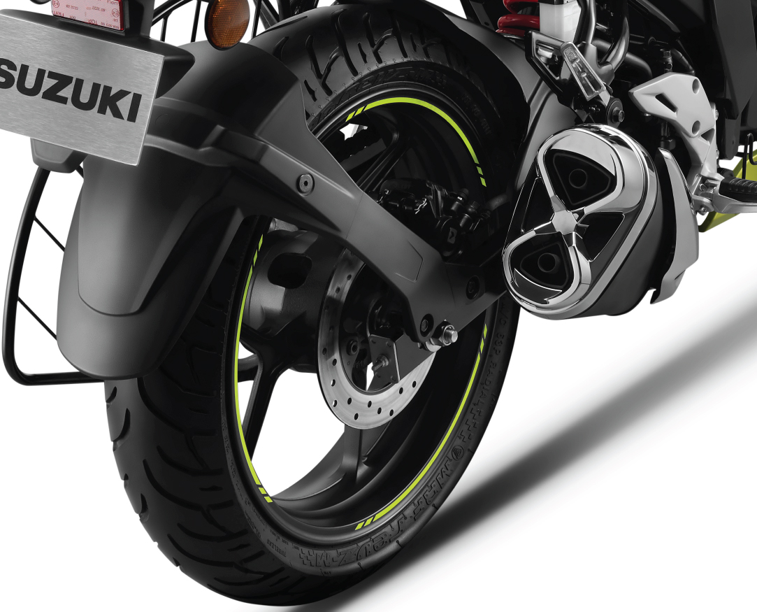 Suzuki Gixxer Rear Tyre Hugger